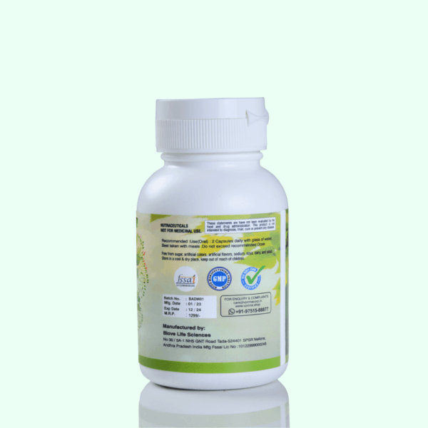 Ayur Raksha Dia Well Food Supplement Capsules 2