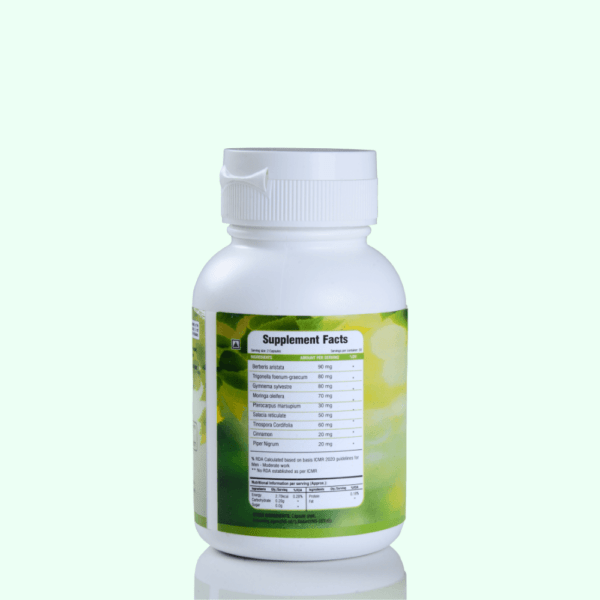 Ayur Raksha Dia Well Food Supplement Capsules 3