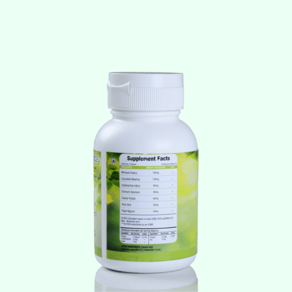 Ayur Raksha PI Well Food Supplement Capsules 3