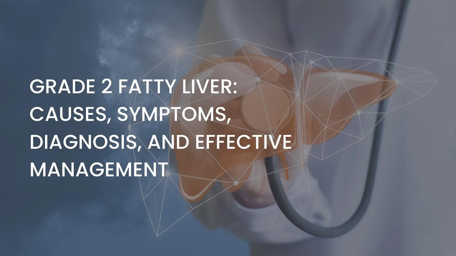 Grade 2 Fatty Liver