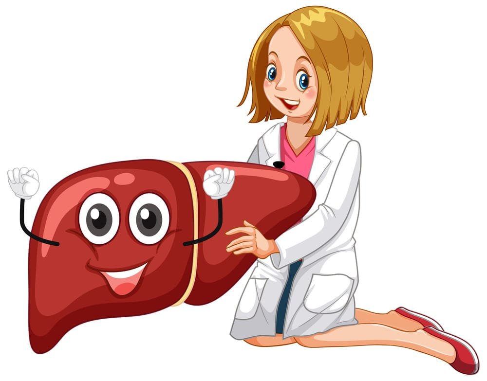 Ayur Raksha - Liver health support natural liver health support