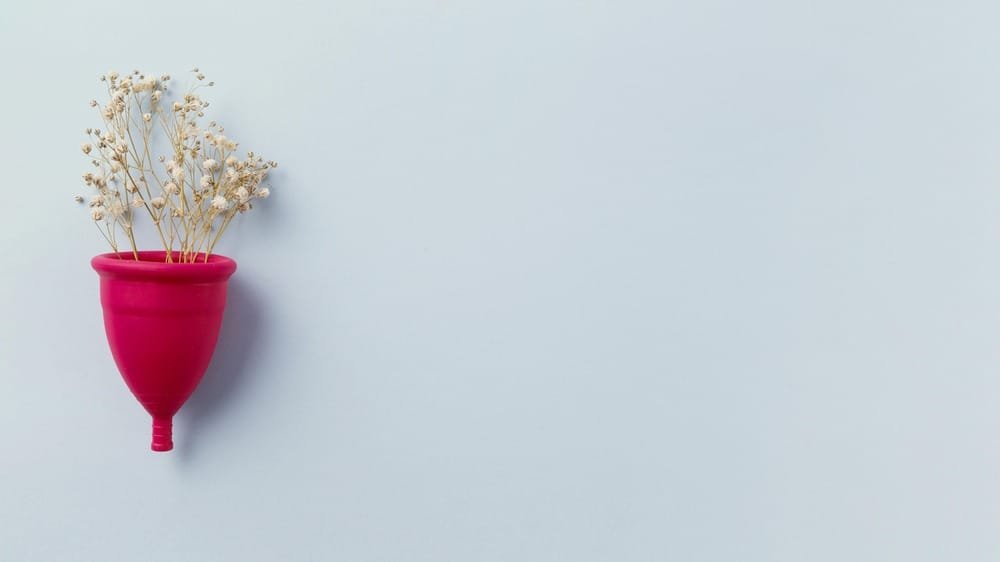 Ayur Raksha - Natural remedy for heavy periods natural remedy for heavy periods