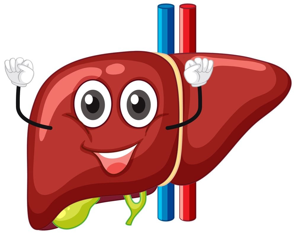 Ayur Raksha - Alcohol liver damage treatment Alcohol liver damage treatment
